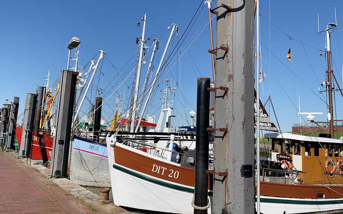 Kutter am Hafen Ditzums